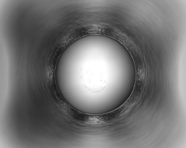 X0000096490753200801241504