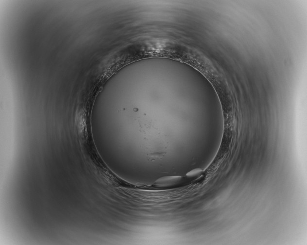 X0000096490754200801241504