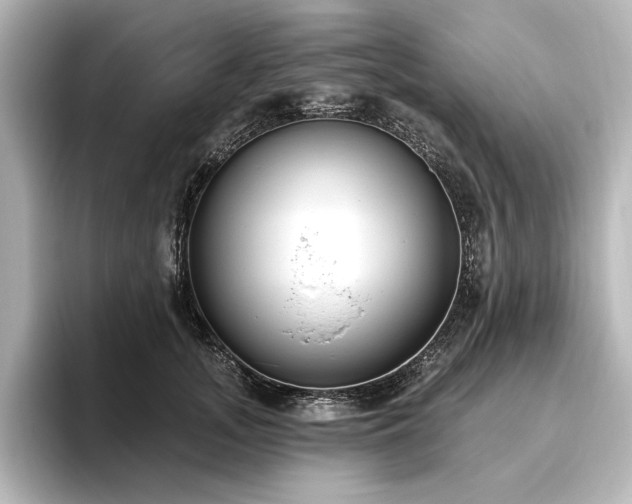 X0000096490755200801241504
