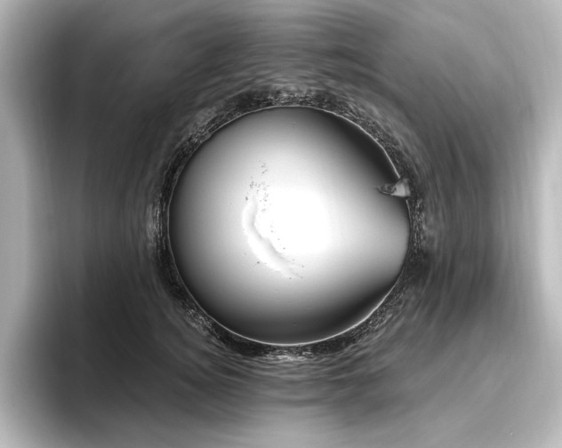 X0000096490756200801241504