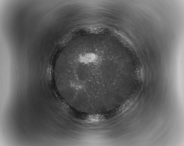 X0000096490757200801241504