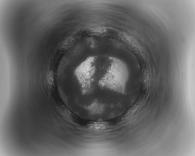X0000096490758200801241504