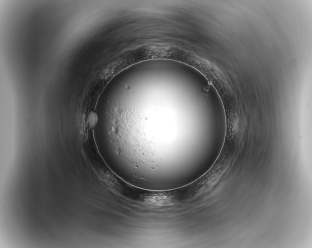 X0000096490759200801241504