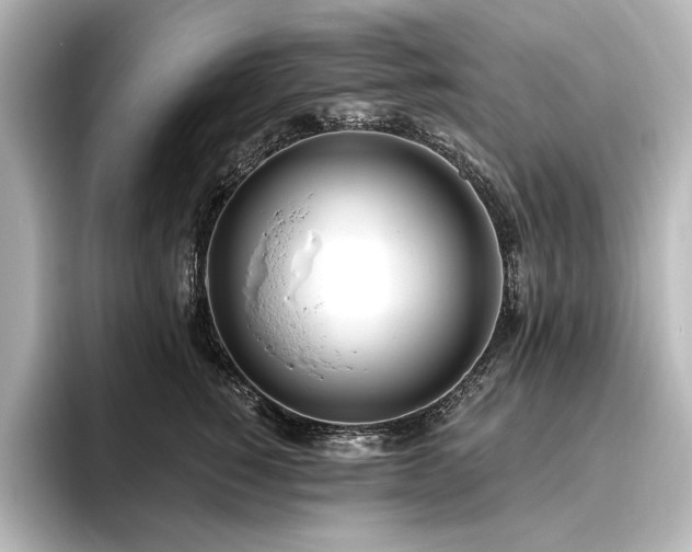 X0000096490760200801241504