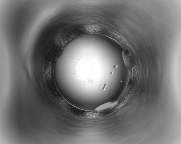 X0000096490762200801241505
