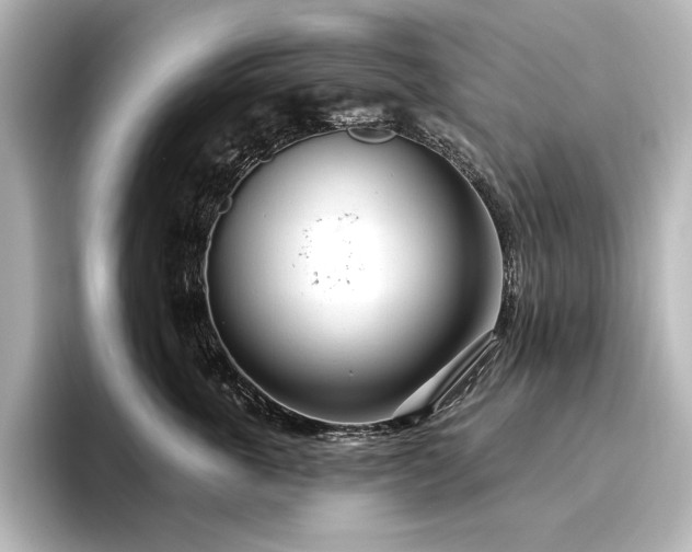 X0000096490763200801241505
