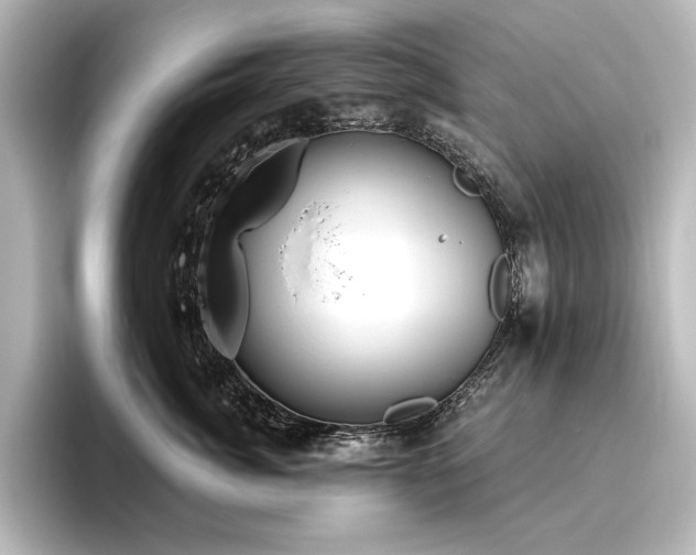 X0000096490764200801241505