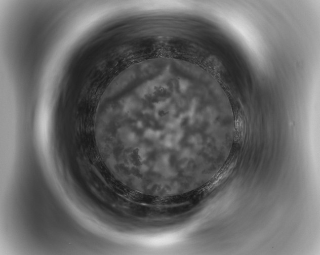 X0000096490765200801241505