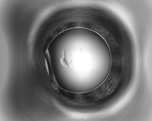 X0000096490766200801241505