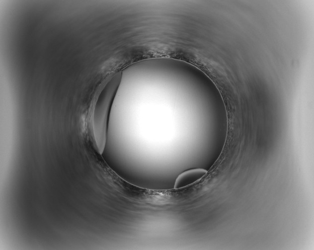 X0000096490768200801241505