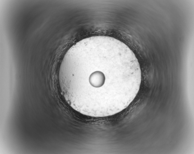 X0000096490769200801241504