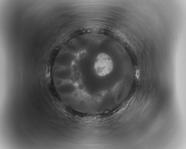 X0000096490771200801241504