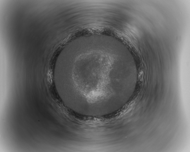 X0000096490772200801241504