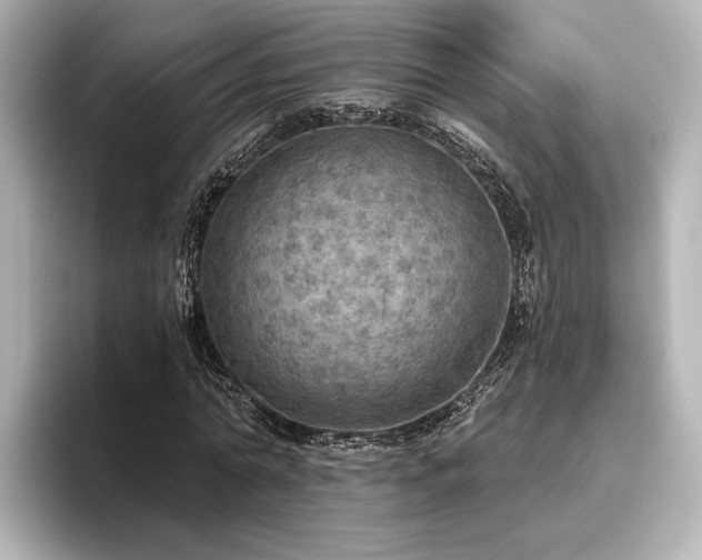 X0000096490774200801241504