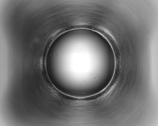 X0000096490777200801241504