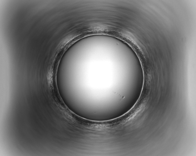 X0000096490778200801241504