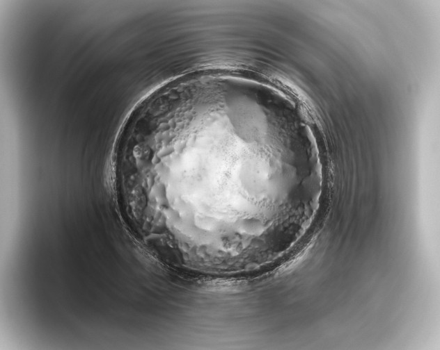 X0000096490779200801241504