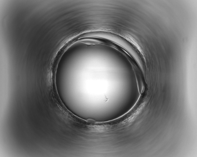 X0000096490781200801241504