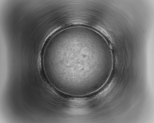 X0000096490782200801241504