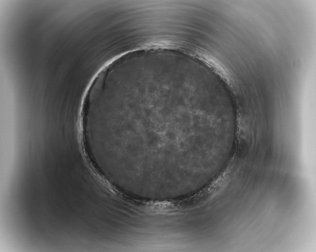 X0000096490784200801241504