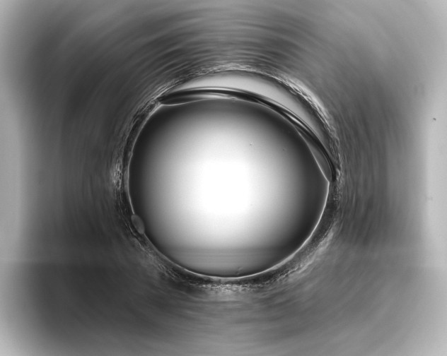 X0000096490785200801241504