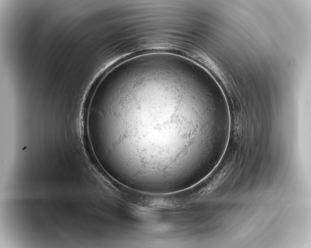 X0000096490787200801241504