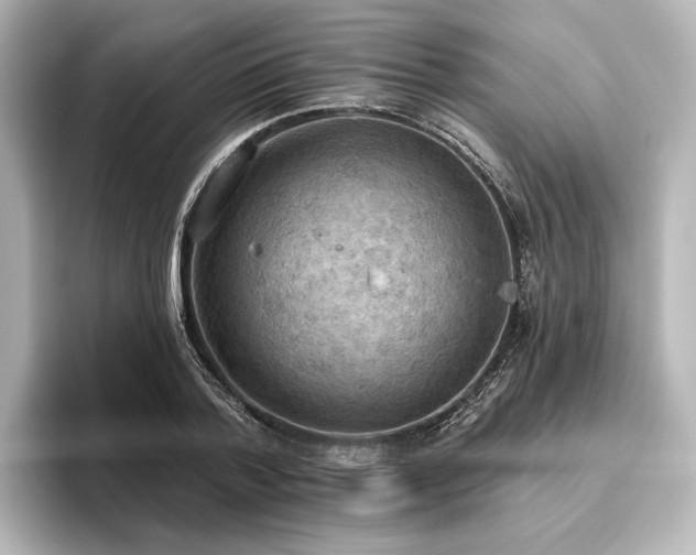 X0000096490788200801241504