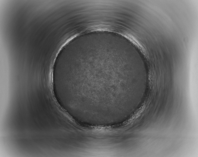X0000096490790200801241504