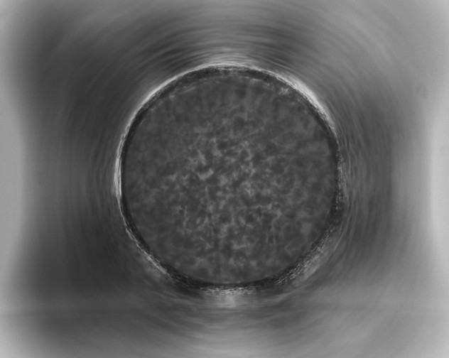X0000096490791200801241504