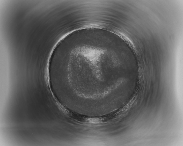 X0000096490792200801241504