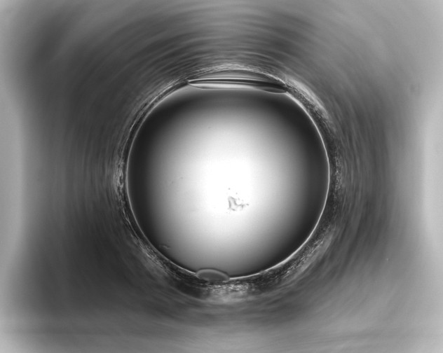 X0000096490793200801241504