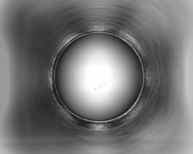 X0000096490794200801241504