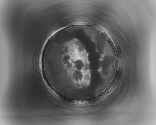 X0000096490795200801241504