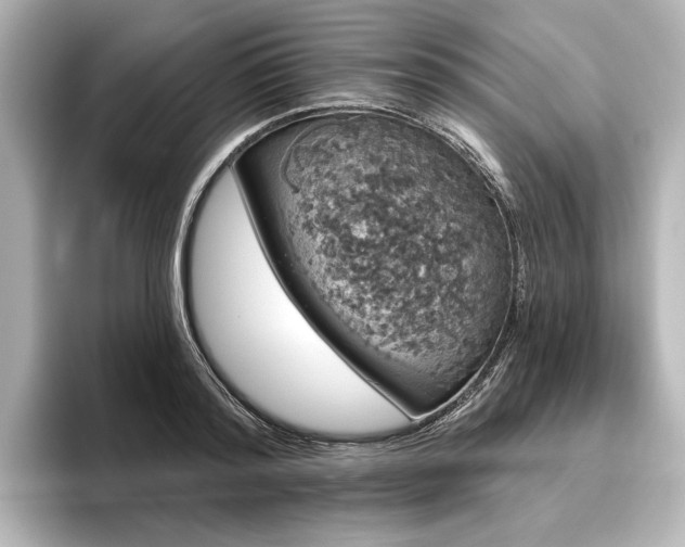 X0000096490796200801241504