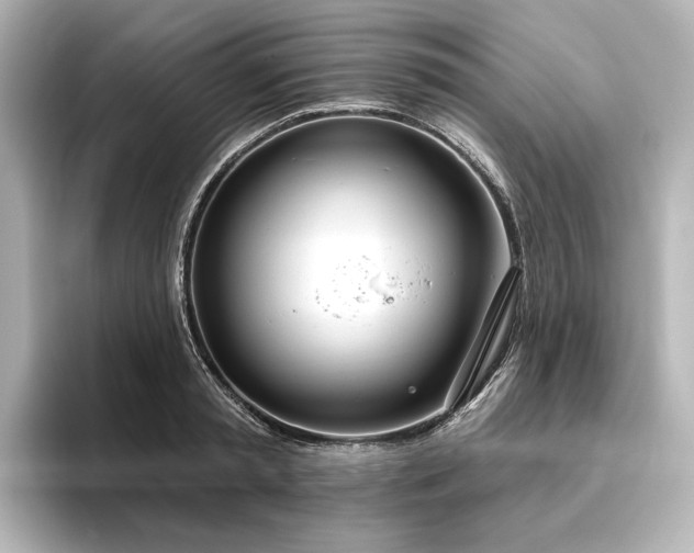 X0000096490797200801241504