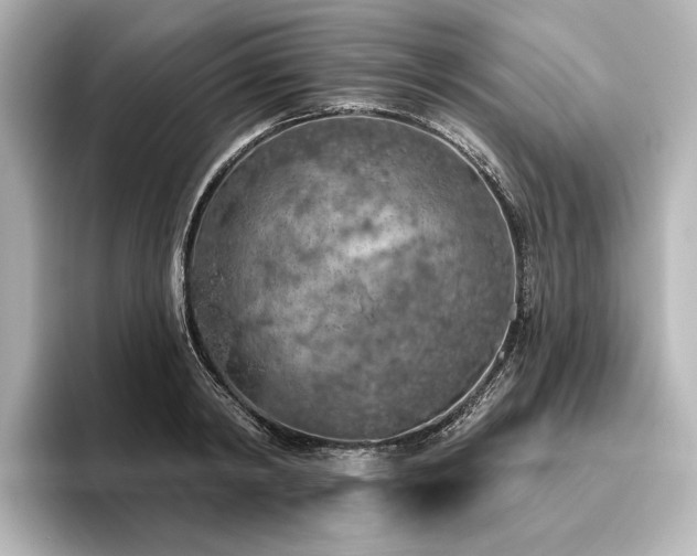 X0000096490798200801241504