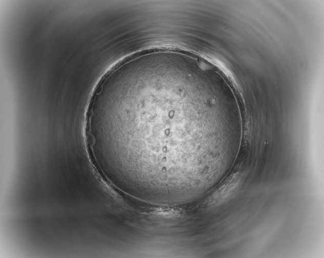 X0000096490799200801241504