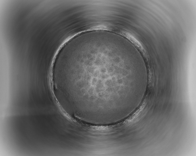 X0000096490800200801241504