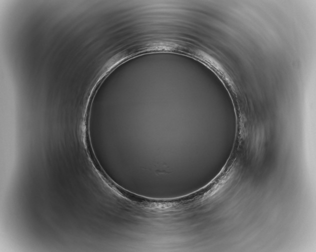 X0000096490802200801241504