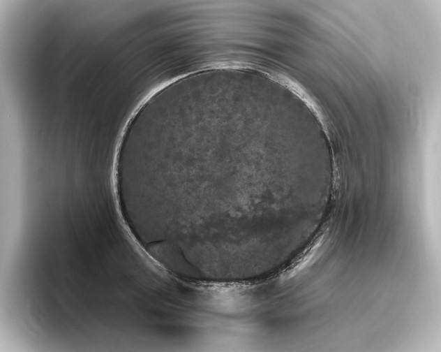 X0000096490803200801241504