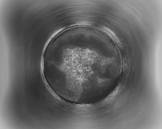 X0000096490804200801241504