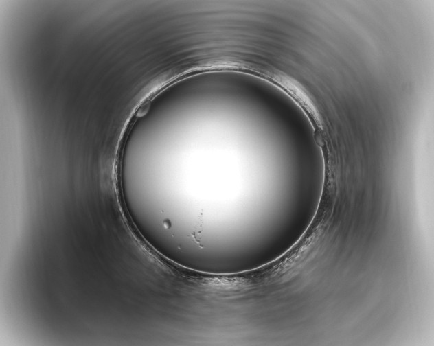 X0000096490805200801241503