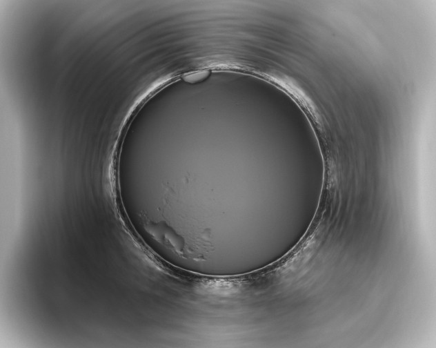 X0000096490806200801241503