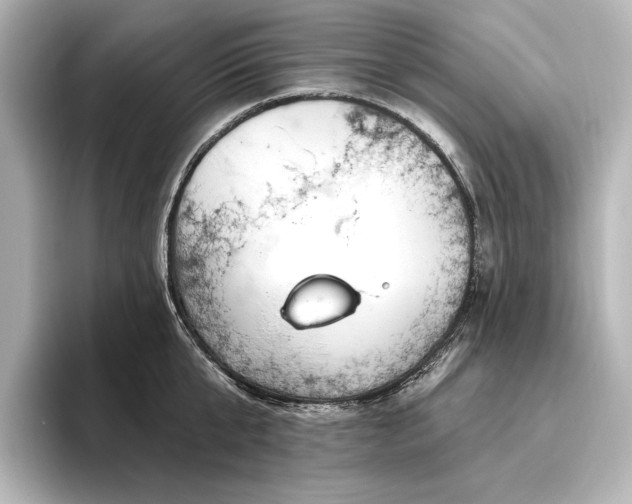 X0000096490807200801241503