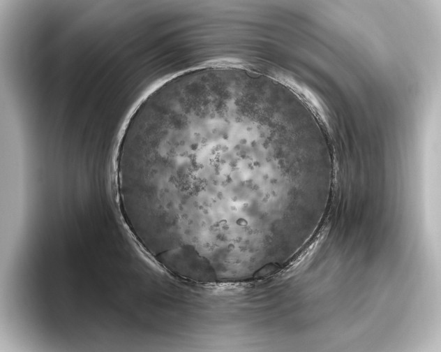 X0000096490808200801241503
