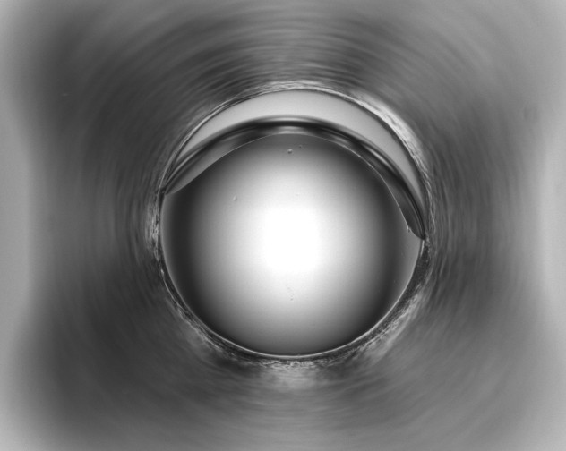 X0000096490809200801241503