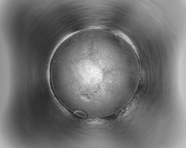 X0000096490811200801241503