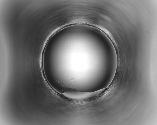 X0000096490815200801241503