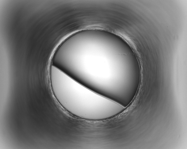 X0000096490816200801241503