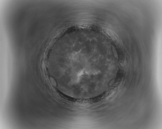 X0000096490817200801241502